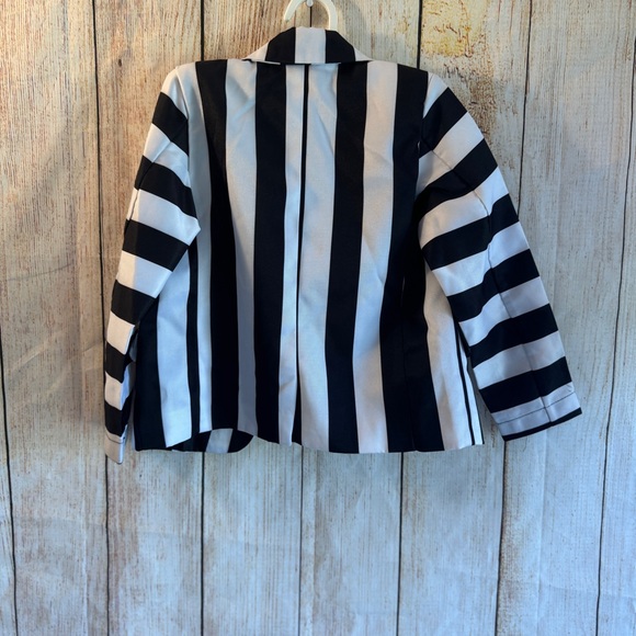 Toddler Beetlejuice Costume-suit & Wig 3T-4T, EUC - Picture 7 of 9